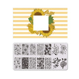 Nail Art Stamping Plates 80 Different Types of Manicure Designs 1+1=3